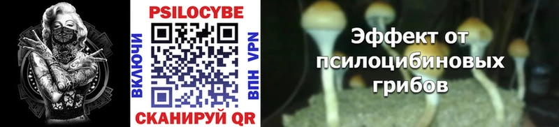 Псилоцибиновые грибы Cubensis  Купить закладки  Заполярный 